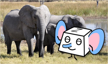 おすすめタイピング